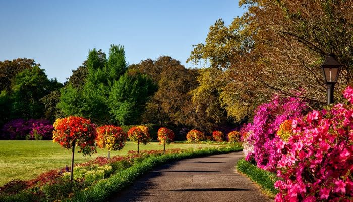 como criar um jardim em casa