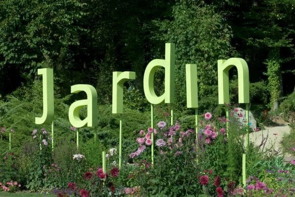 Os-10-Melhores-Aplicativos-De-Jardinagem