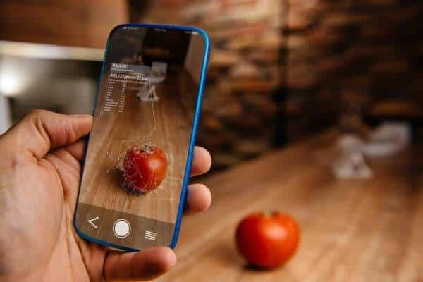 Inteligencia-Artificial-Na-Agricultura